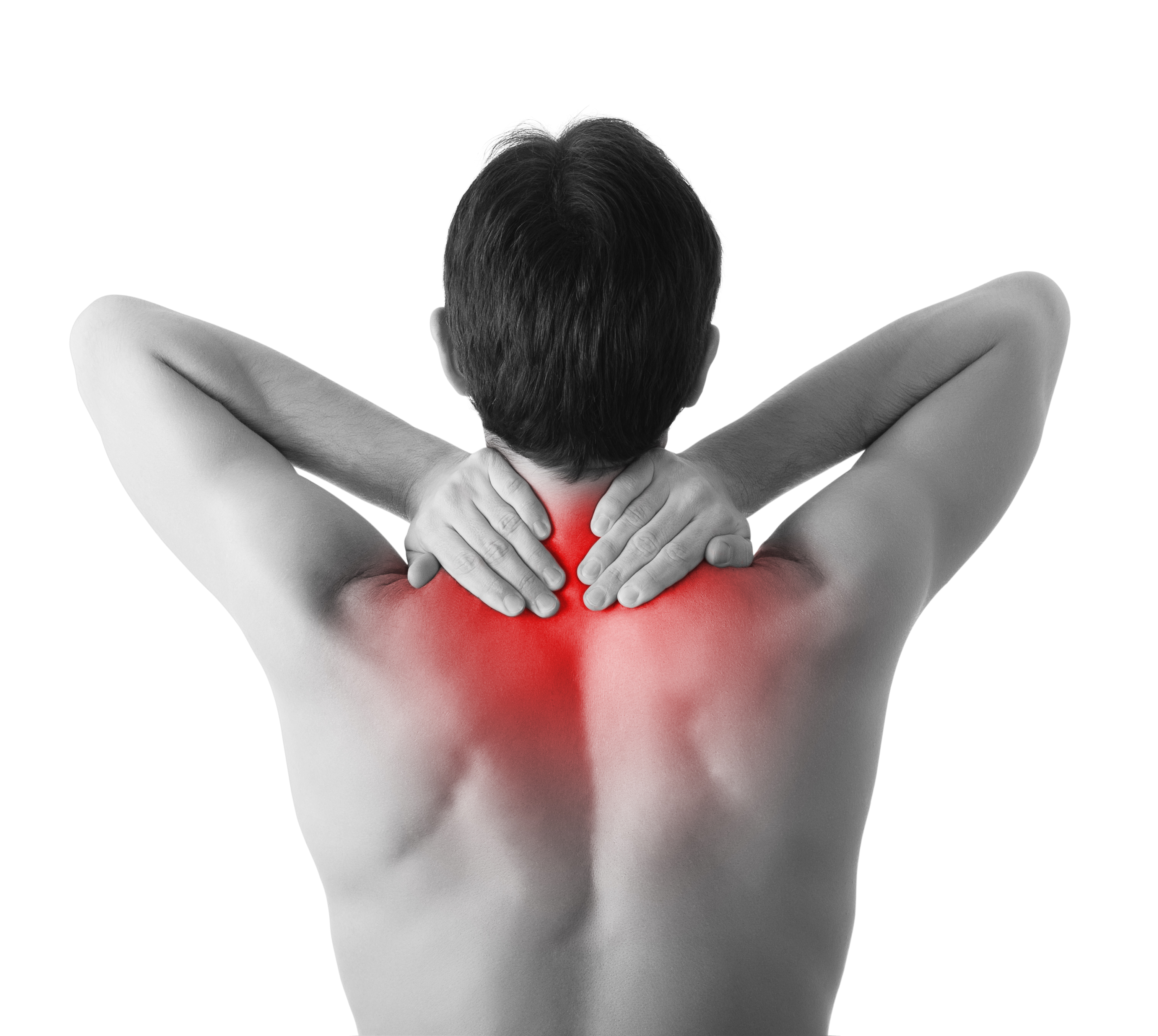 Rehab & Rejuvenation